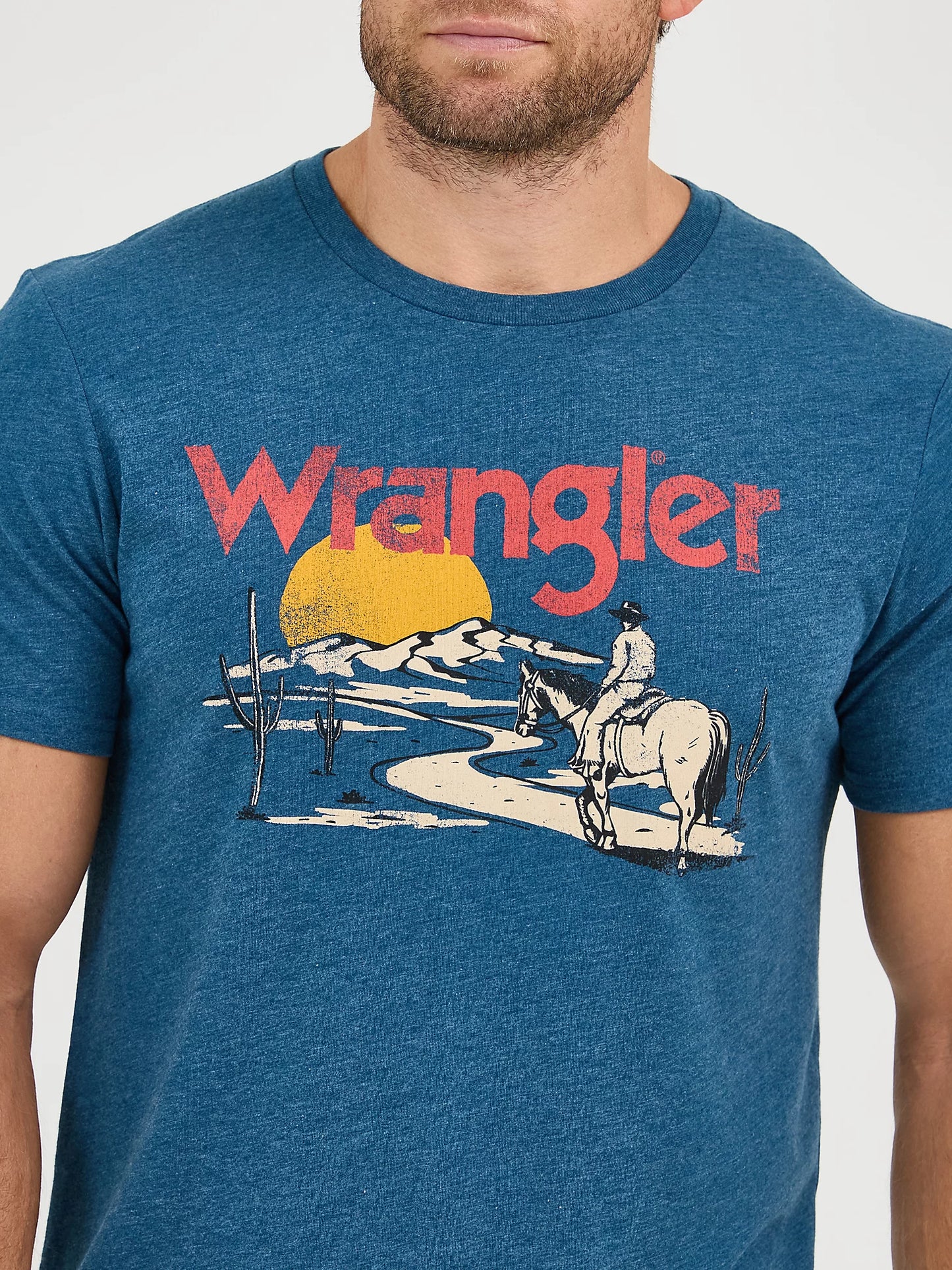 112361644 Men's Cowboy Desert Graphic T-Shirt