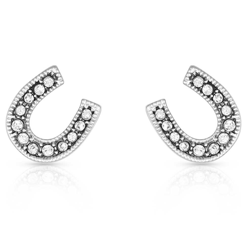 ER808 Crystal Clear Stuck on Luck Post Earrings