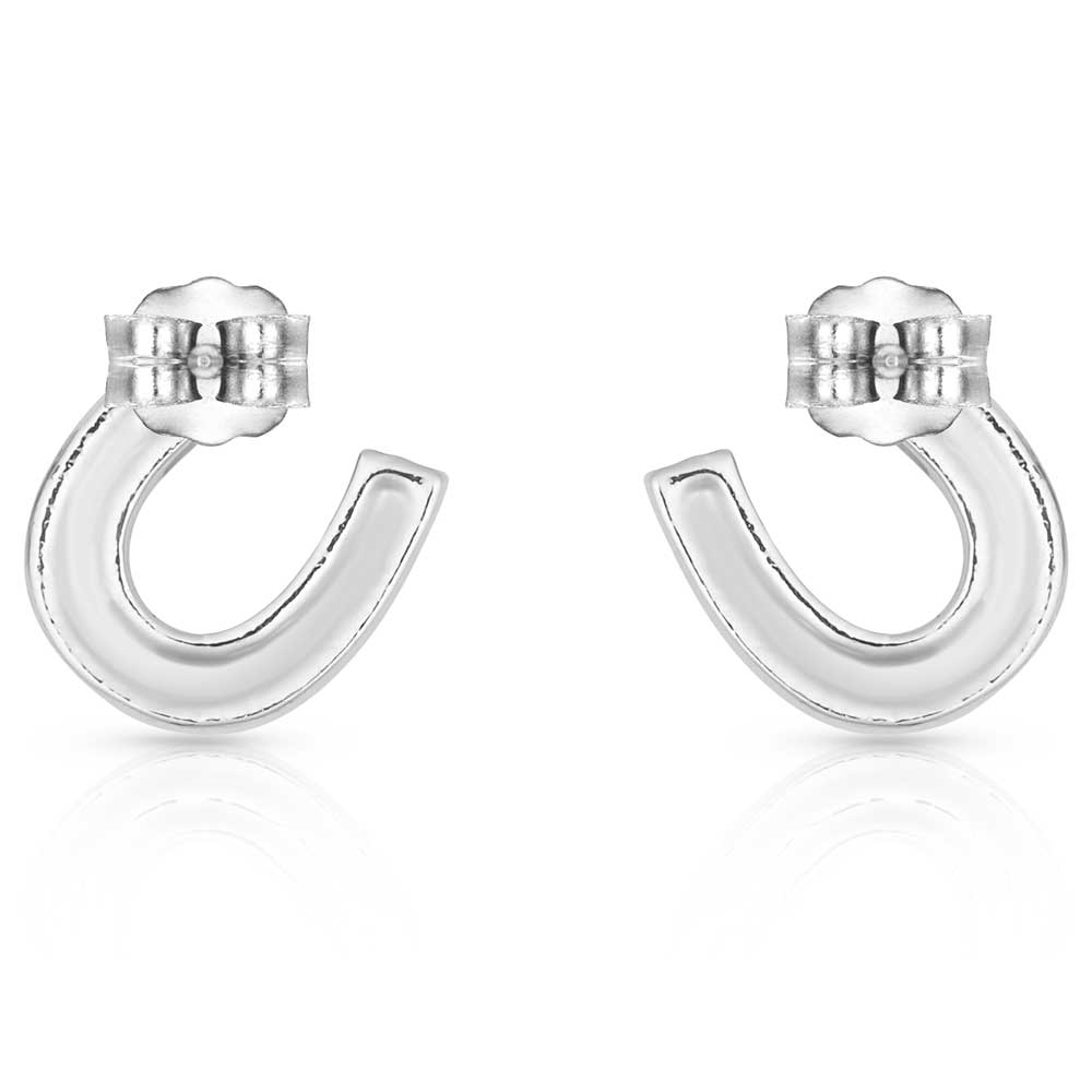 ER808 Crystal Clear Stuck on Luck Post Earrings