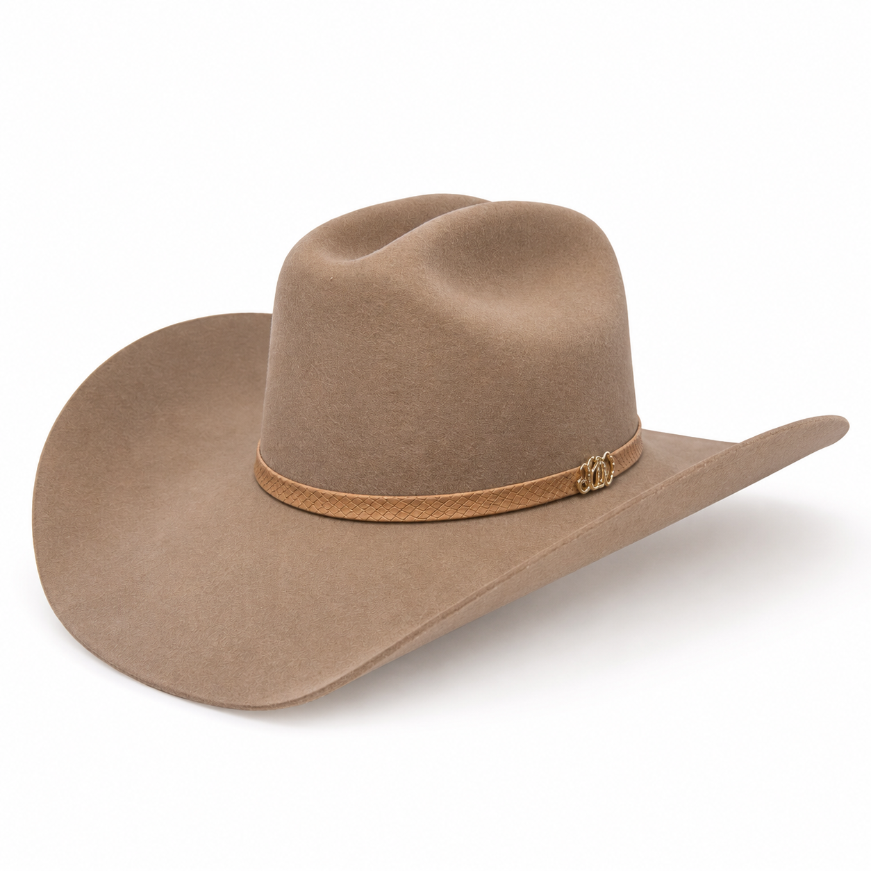 CHARLIE 1 HORSE DELTA DOWN FELT HAT