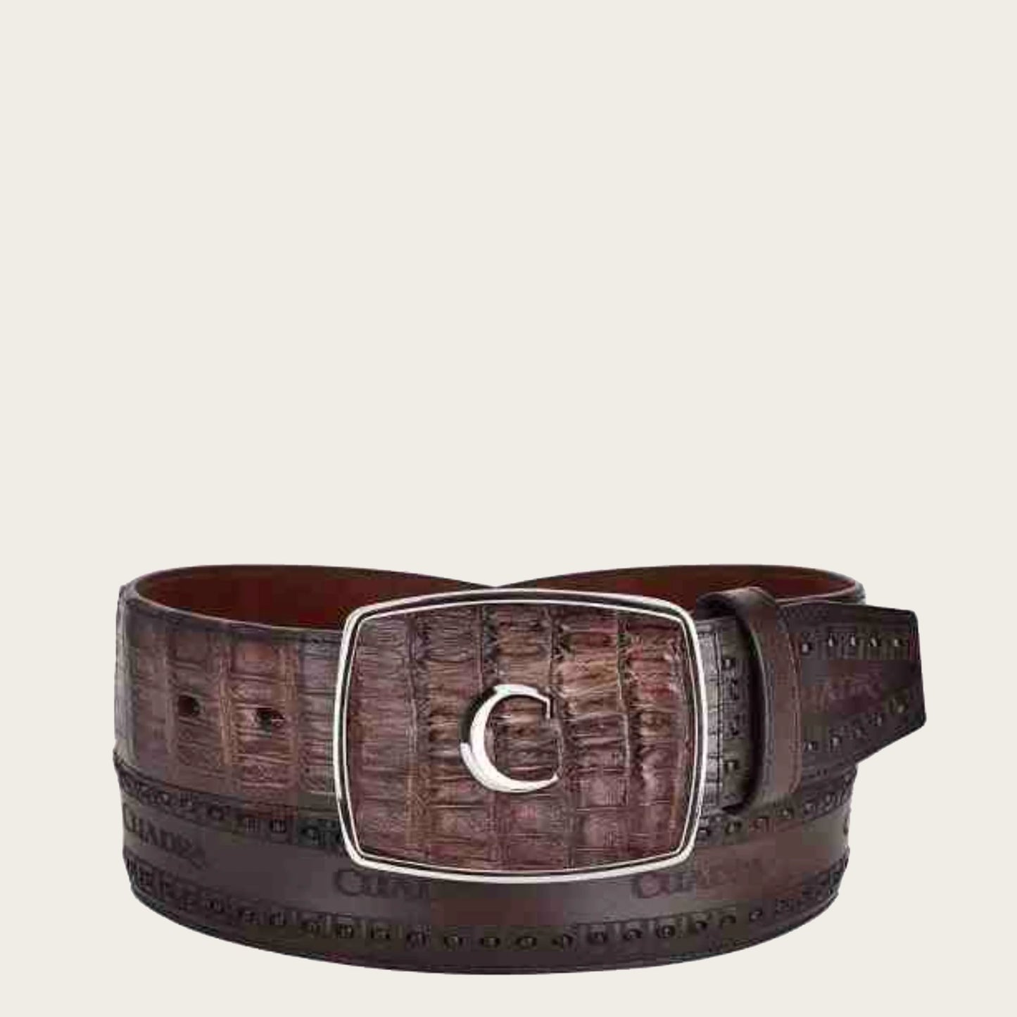 BC279 CUADRA ARAUCO CHOCOLATE CAIMAN BELT