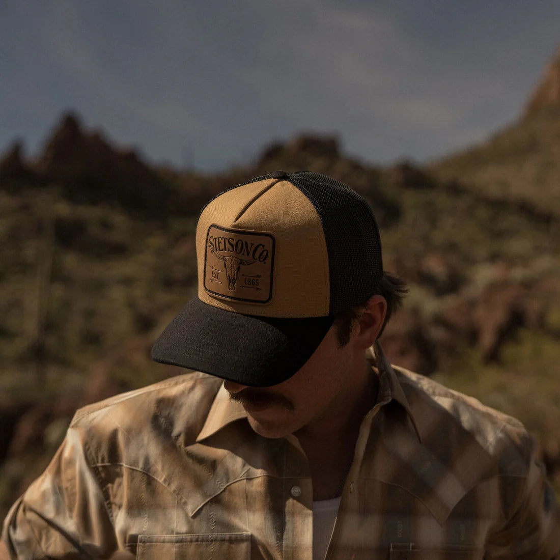LONGHORN PATCH TRUCKER HAT STETSON (SCLLSC-0029)