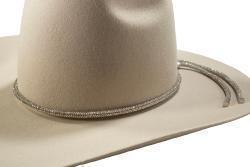 D740002636 3D HATBAND 1/4" RHINESTONED BAND SILVER