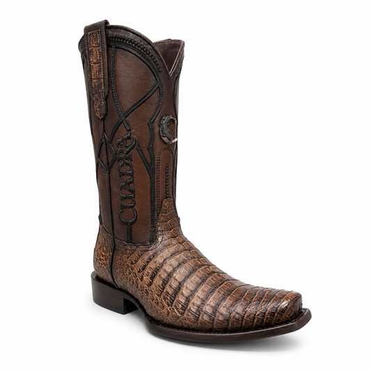 CC292 BROWN CAIMAN LOMO BELLY STRAUSS