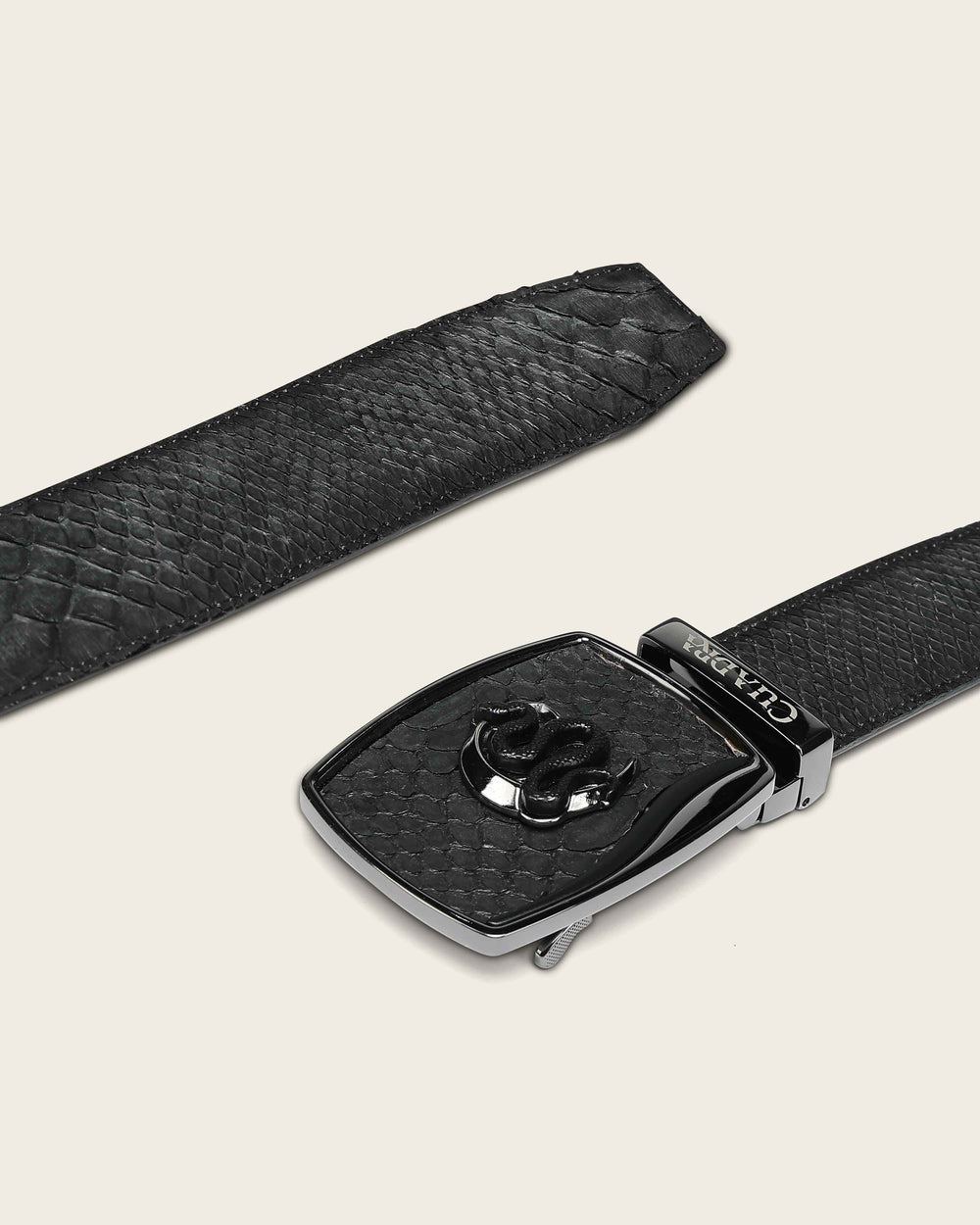 BC483 CUADRA MATTE BLACK PYTHON BELT