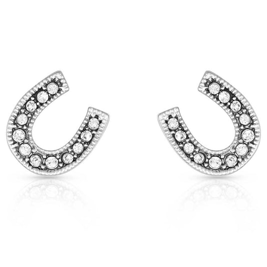 ER808 Crystal Clear Stuck on Luck Post Earrings