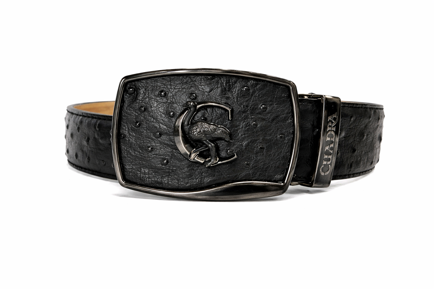 BC479 CUADRA BLACK OSTRICH BELT